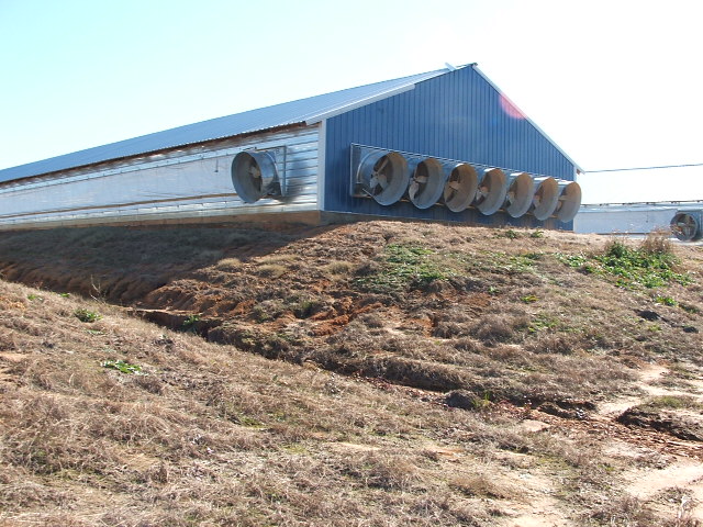 Commercial poultry house