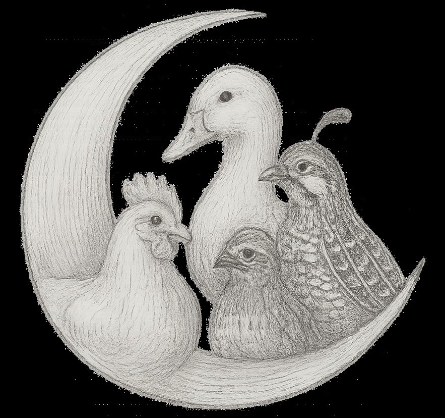 Oregon Poultry Vet Logo